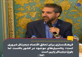 فرهنگسازی برای تحقق اقتصاد دیجیتال ضروری است / پتانسیل‌های موجود در کشور بالاست اما بلوغ دیجیتال پایین است

