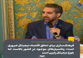 فرهنگسازی برای تحقق اقتصاد دیجیتال ضروری است / پتانسیل‌های موجود در کشور بالاست اما بلوغ دیجیتال پایین است

