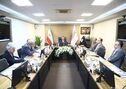 سمیعی نژاد در نشست معاونان وزرای صمت و اقتصاد:منابع حاصل از واگذاری‌ها را به ایمیدرو بازگردانید

