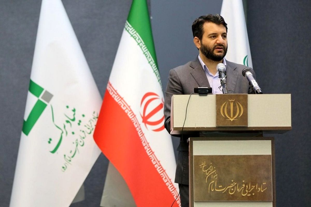 وزیر کار: درباره بیمه کارگران ساختمانی و بیمه قالیبافان با نمایندگان مجلس هم‌نظر هستیم
