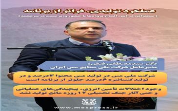 هملکرد تولیدی، فراتر از برنامه