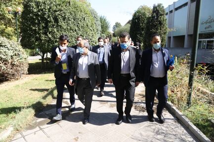 اینوماین