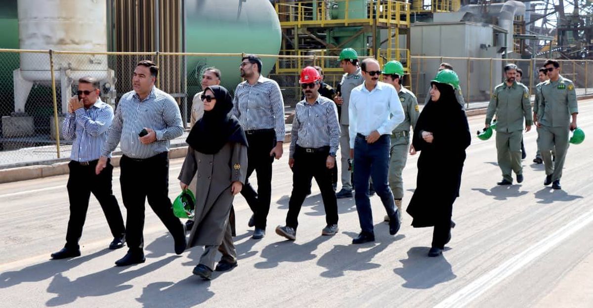 سه ماه تلاش بی‌وقفه؛ نجات گور ایرانی در دل خشکسالی