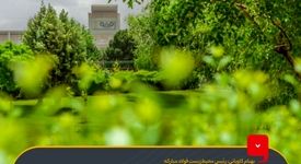 مهاجرت 14 تا 18 هزار پرنده به فولاد مبارکه؛ نمونه‌ای موفق از همزیستی صنعت و محیط‌زیست
