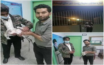  نجات فلامینگو مهاجر سیبری سرگردان در محدوده معدن انتیموان سفیدابه