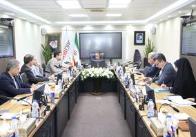 صندوق بیمه معدنی، تنوع در تامین منابع مالی را اولویت قرار دهد