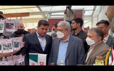 ایجاد مرکز دانشبنیان ازسوی شرکت مس اقدام ارزشمندی است