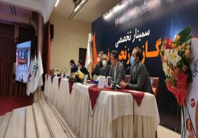 محمد آقاجانلو، مدیرعامل شرکت ملی فولاد ایران در سمینار چالش گاز در زنجیره فولاد
