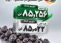 فولاد غدیر نی‌ریز با ثبت بالاترین میزان تولید آهن اسفنجی در (شهریور ۱۴۰۵) 

