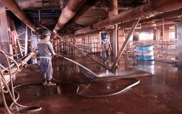 با هدف کاهش ریسک خطرات و اجرای زنگ 5s ؛ ضایعات موجود در واحد گل قرمز شرکت آلومینای ایران جمع آوری شد