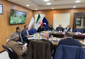 مدیر مجتمع معادن زغال‌سنگ طبس؛ سرمایه‌گذاری ۱۰ هزار میلیاردی ایمیدرو در طبس/ طرح جامع زغال‌سنگ تدوین می‌شود
