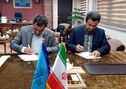 در راستای اولویت‌های پژوهشی ایمیدرو؛ تفاهم‌نامه همکاری دانشگاه تبریز و مرکز تحقیقات کاربرد مواد معدنی غرب کشور امضا شد

