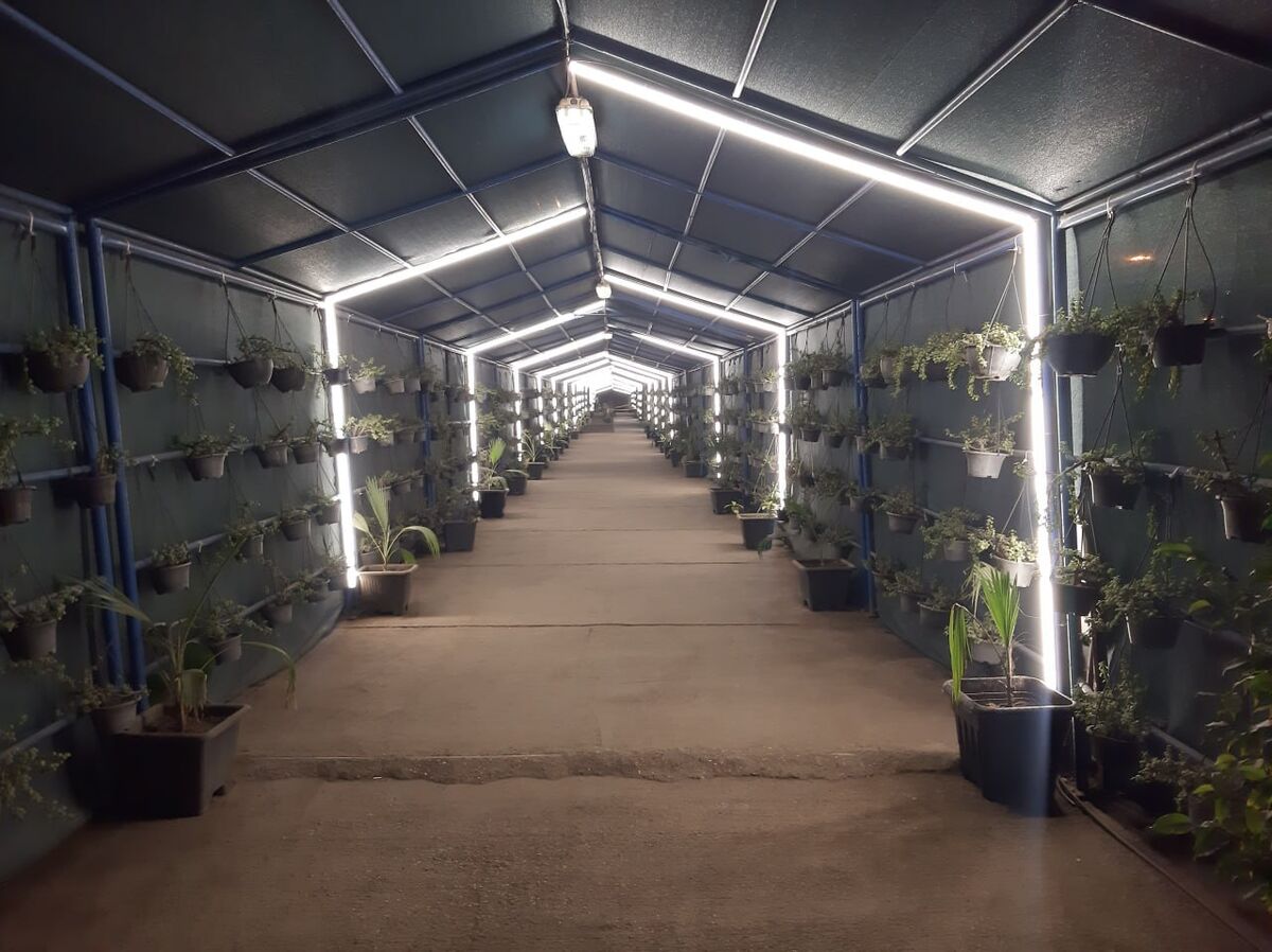 مسیر عبور کارکنان فولاد هرمزگان با طراحی سبز بازآفرینی شد