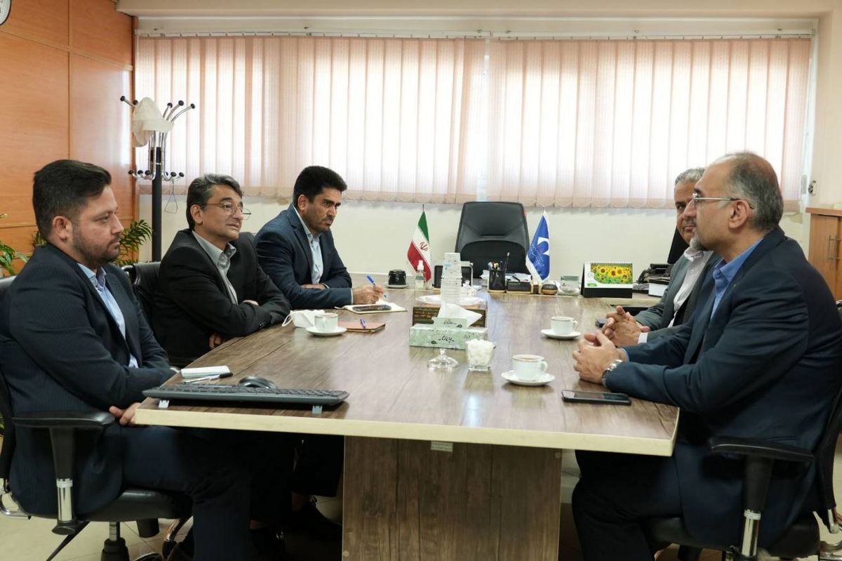 مدیر طرح احیای معادن خبر داد:از ظرفیت‌های بانکی برای احیای معادن غیرفعال استفاده می‌کنیم