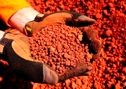 پیش‌بینی ارزش بازار جهانی بوکسیت تا ۲۰۳۴؛ حدود 25 میلیارد دلار