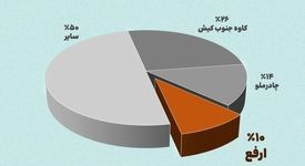 جایگاه سوم ارفع در تامین نیاز داخلی شمش فولاد - شهریورماه ۱۴۰۴