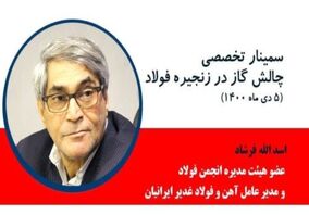 اسدالله فرشاد، عضو هیئت مدیره انجمن فولاد و مدیر عامل آهن و فولاد غدیر ایرانیان در سمینار چالش گاز در زنجیره فولاد