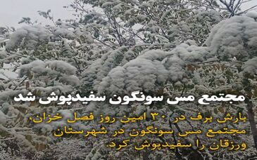سونگون سفیدپوش شد