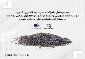 تولید کک سوزنی و بهره برداری از معدن نیکل بوانات با مشارکت شرکت های دانش بنیان بزودی آغاز می شود