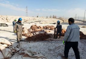 همایش محیط‌زیستی و زنگ 5S در شرکت آلومینای ایران برگزار شد