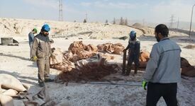 همایش محیط‌زیستی و زنگ 5S در شرکت آلومینای ایران برگزار شد