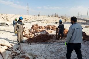 همایش محیط‌زیستی و زنگ 5S در شرکت آلومینای ایران برگزار شد