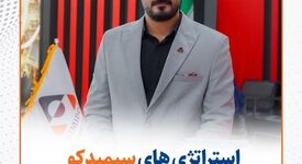 استراتژی‌ های سیمیدکو در راستای رشد و توسعه بازار