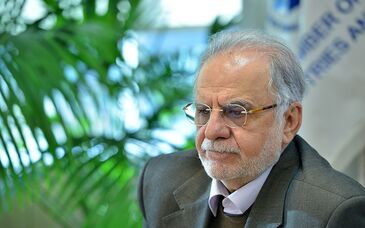 در سیاست خارجی باید تصمیم های جسورانه گرفته شود/ راه نجات اقتصاد کشور جذب سرمایه گذاری خارجی است